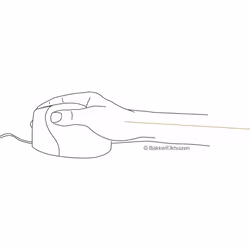 BakkerElkhuizen Evoluent4 mouse Ufficio Mano destra USB tipo A Laser 2600 DPI - Vista aggiuntiva 6