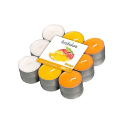 Bolsius - Candela Tealight Zucchero e Spezie Pz 18