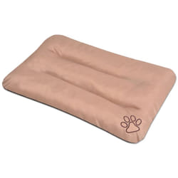 Materasso per Cani Taglia xxl Beige Vidaxl
