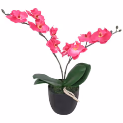 Aggiungete un po' di verde al vostro interno con questa orchidea artificiale realistica. L'orchidea è alta 30 cm e sarà un'ot ...