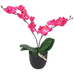 Orchidea Artificiale con Vaso 30 cm Rossa Vidaxl 67148