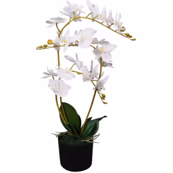 Aggiungete un po' di verde al vostro interno con questa orchidea artificiale realistica. L'orchidea è alta 65 cm e sarà un'ot ...