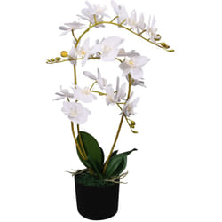 Orchidea Artificiale con Vaso 65 cm Bianca Vidaxl 28638