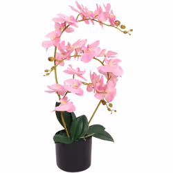 Aggiungete un po' di verde al vostro interno con questa orchidea artificiale realistica. L'orchidea è alta 65 cm e sarà un'ot ...
