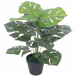 Aggiungete un po' di verde al vostro interno con questa realistica monstera artificiale. La monstera è alta 45 cm e sarà un'o ...