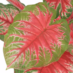 Caladio Pianta Artificiale con Vaso 85 cm Verde e Rossocod mxl 80261 - Vista aggiuntiva 2