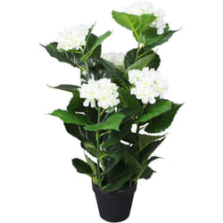 Vidaxl - Ortensia Pianta Artificiale con Vaso 60 cm Bianca 69732