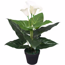 Aggiungete un po' di verde al vostro interno con questa realistica calla lily artificiale. La calla lily è alta 45 cm e sarà ...