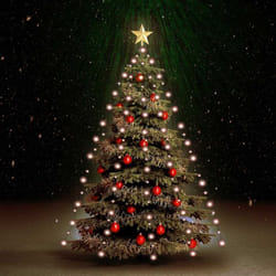Vidaxl - Luci per Albero di Natale con 210 led 210 cm 399264