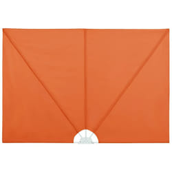 Tenda Laterale per Terrazza Pieghevole Terracotta 300x200 cm Vidaxl
