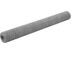 Recinzione in Rete per Pollaio Acciaio Zincato 25x1,2 m Argento Vidaxl 2532