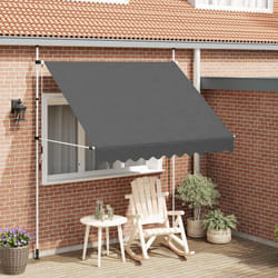 vidaXL Tenda da Sole Retrattile Manuale 250 cm Antracite
