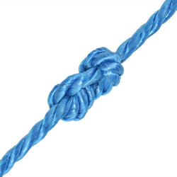 Corda Intrecciata in Polipropilene 6 mm 500 m Blu Vidaxl 935896