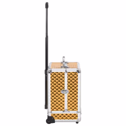 Valigia Trolley per Cosmetici 35x29x45 cm Oro in Alluminiocod mxl 80686 - Vista aggiuntiva 3
