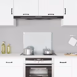 Realizzata in vetro temperato, questo alzatina da cucina fungerà da affidabile paraspruzzi e sarà un'aggiunta pratica e decor ...
