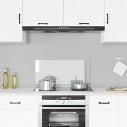 Paraschizzi per Cucina Trasparente 80x40 cm in Vetro Temperato Vidaxl 48563