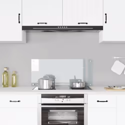 Realizzata in vetro temperato, questo alzatina da cucina fungerà da affidabile paraspruzzi e sarà un'aggiunta pratica e decor ...