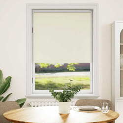 Vidaxl - Tenda a rullo oscurante buio totale 100 x 175 cm con catena di trazione vari colori colore : Bianco ecrù