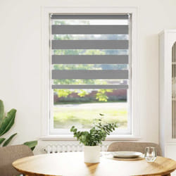 Vidaxl - Tenda a Rullo, Avvolgibile Porta Finestra giorno e notte oscurante zebra 50x100 cm grigia 70817