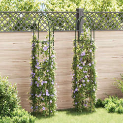 vidaXL Set Torri ad Arco 2 pz per Piante Rampicanti da Giardino