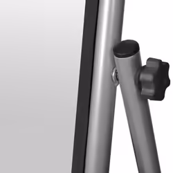VidaXL 240580 specchio a figura intera e da terra Universale