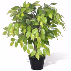 Questo ficus artifciale alto di 60 cm non appasisce mai. Grazie alle sue misure ridotte, pu; essere messo quasi dapertutto, s ...