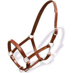 Questa capezza, realizzata in cuoio di bufalo di alta qualità, è facilmente regolabile ed ha un design elegante. Questa cavez ...