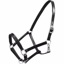 Questa cavezza, realizzata in pelle bufalo di alta qualità, è facilmente regolabile e presenta un design elegante. Questa cav ...