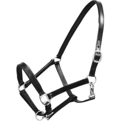 Cavezza Testiera in Cuoio Naturale Regolabile Nera Cavallo Full Vidaxl 7247