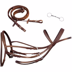 Queste briglie eleganti sono realizzate in pelle di bufalo di alta qualità, molto morbida, con fascia imbottita, per il massi ...