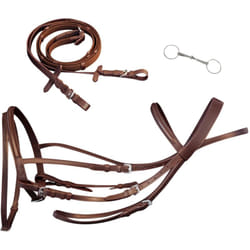 Briglie in Pelle con Redini e Morso Marrone per Pony Vidaxl 53925