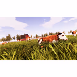 SOEDESCO Real Farm Sim - Vista aggiuntiva 2