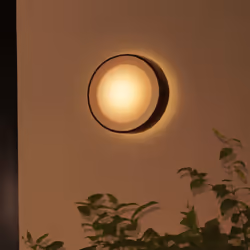 Philips Hue White and Color ambiance Daylo Lampada Smart a parete Nero in Alluminio - Vista aggiuntiva 6
