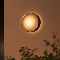 Philips Hue White and Color ambiance Daylo Lampada Smart a parete in Acciaio - Vista aggiuntiva 5
