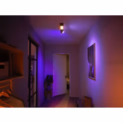 Philips Hue White and Color ambiance Centris Plafoniera Smart (2 punti luce GU10 + LED Integrato) Nera in Alluminio
