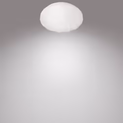 Philips Funzionale 8718699729059 illuminazione da soffitto Lampadina/e non sostituibile/i LED