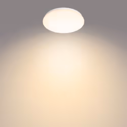 Philips Funzionale 8718699750497 illuminazione da soffitto Lampadina/e non sostituibile/i LED