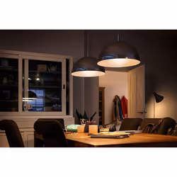 Philips Lampadina smerigliata a filamento 100 W A60 E27 x2