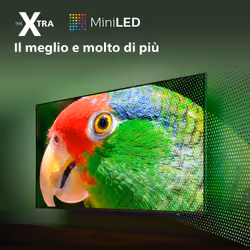 Philips Ambilight TV The Xtra 9008 55“ MiniLED 4K UHD Dolby Vision e Dolby Atmos - Vista aggiuntiva 5