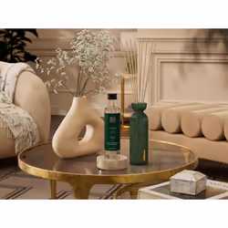 Rituals The Ritual of Jing 8719134180657 deodorante per l'ambiente liquido Bottiglia Verde, Trasparente Fiore di loto 250 ml