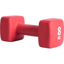 Pure2improve P2I201450 manubrio per ginnastica Manubrio fisso 8 kg 1 pz