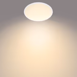 Philips Funzionale 8719514326866 illuminazione da soffitto Lampadina/e non sostituibile/i LED