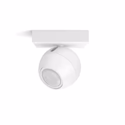 Philips Hue White ambiance Buckram Faretto Smart Bianco + Dimmer Switch