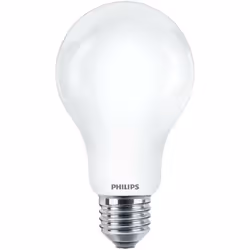 COREPRO LEDBULBND 150W E27 A67 865 Lampade a goccia CorePro in vetro G a emissione luminosa elevata Caratterizzate da un desi ...