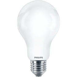 Lampada a goccia corepro ledbulbnd 150w e27 a67 865 incaled150865g2 - Philips