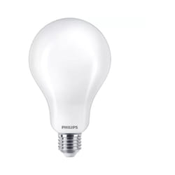 Lampadina led a95 Philips attacco e27 23w 2700k - incaled200g2