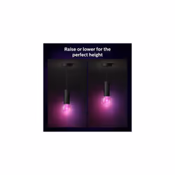 Philips Hue Corda Lightguide Base per Lampadine Smart Nera - Vista aggiuntiva 4