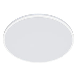 Philips Funzionale Plafoniera Ozziet 22 W