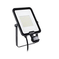 Philips Ledinaire 53479799 proiettore Grigio LED