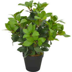 Vidaxl - Albero di Alloro Artificiale con Vaso Verde Pianta Decorativa vari dimensioni dimensioni : 40 cm